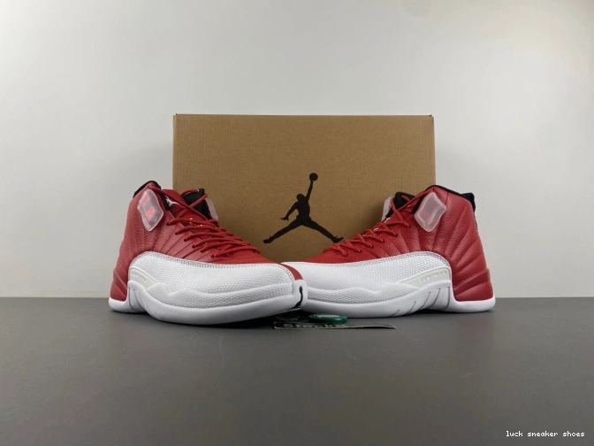 Rep LUCY Alternate 130690-600 12 Jordan Air 0814